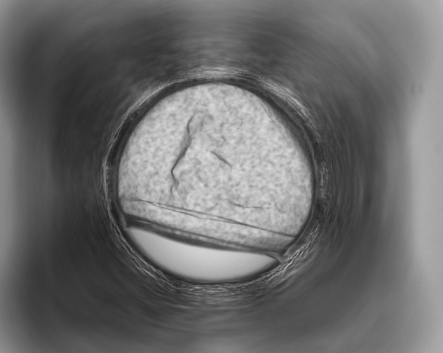 X0000095941404200802081228