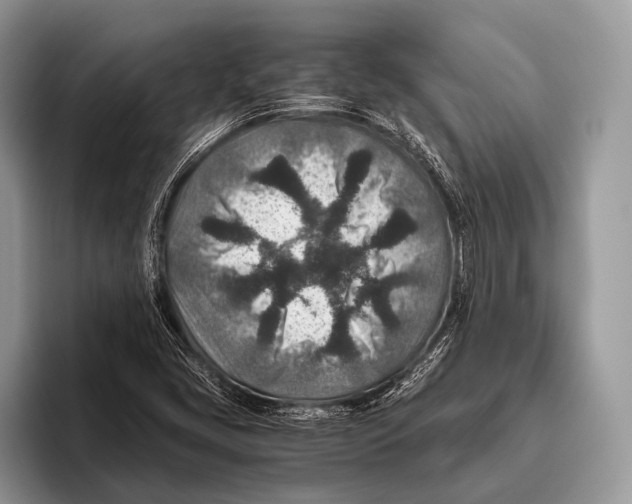 X0000095941405200802081228