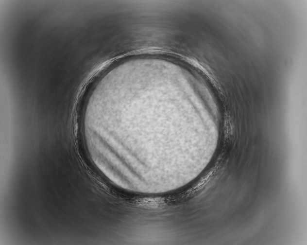 X0000095941406200802081228