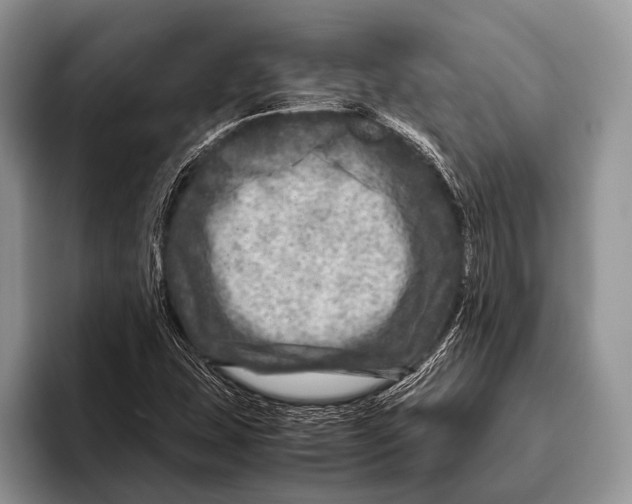 X0000095941407200802081228