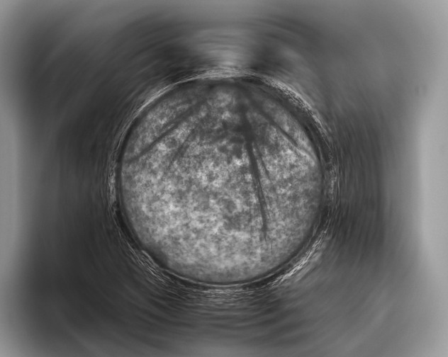 X0000095941409200802081228