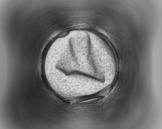 X0000095941410200802081228