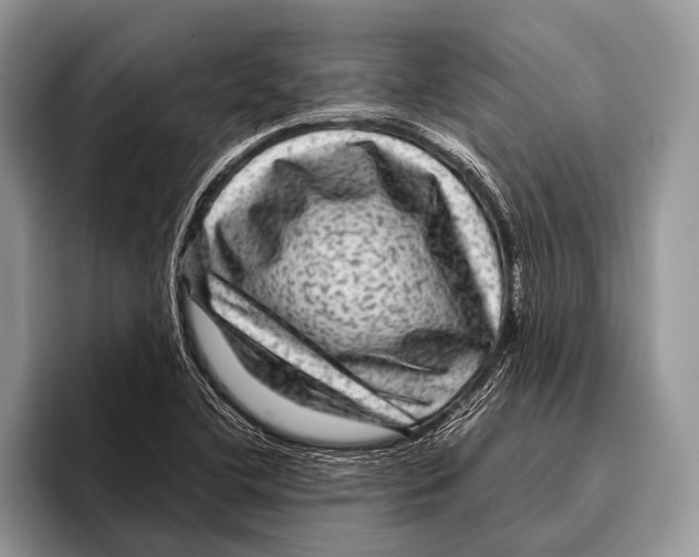 X0000095941412200802081228