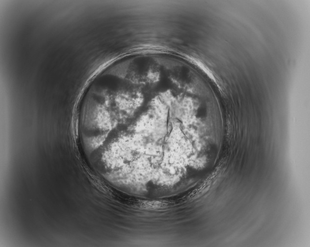 X0000095941413200802081228