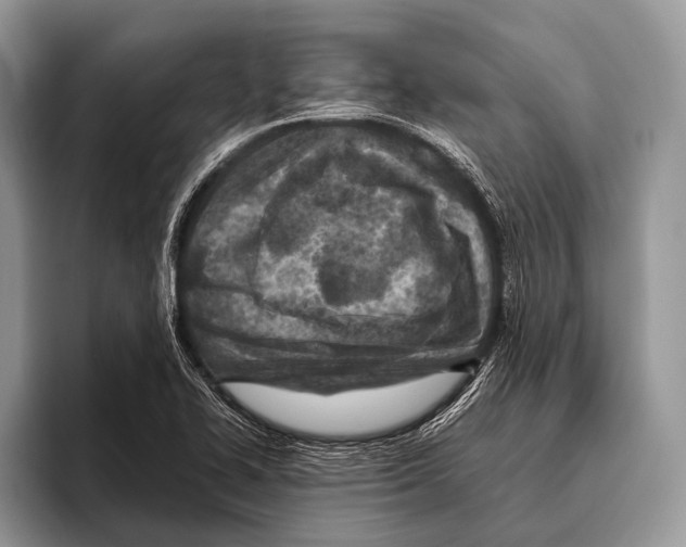 X0000095941414200802081228