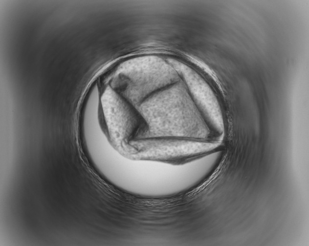 X0000095941415200802081228