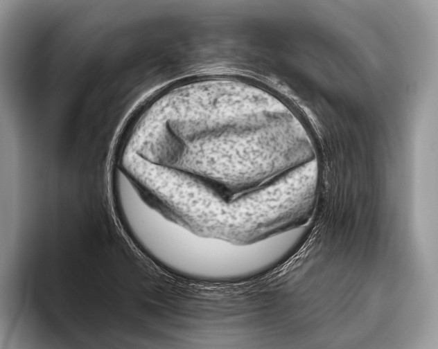 X0000095941416200802081228