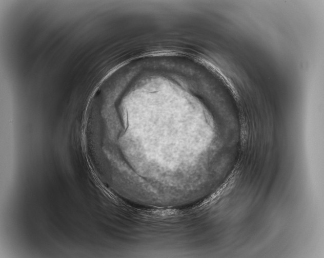 X0000095941417200802081228