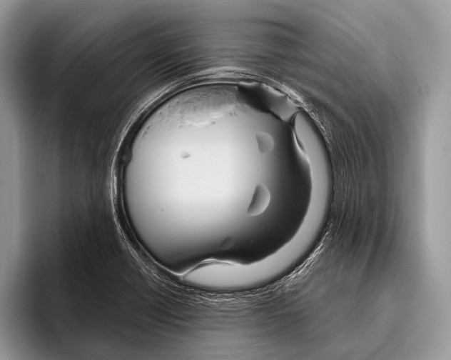 X0000095941418200802081228