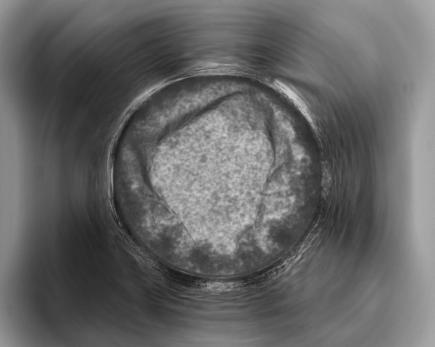 X0000095941419200802081228