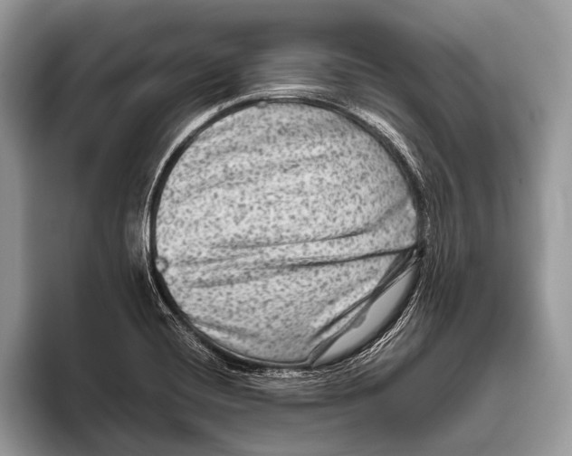 X0000095941420200802081228