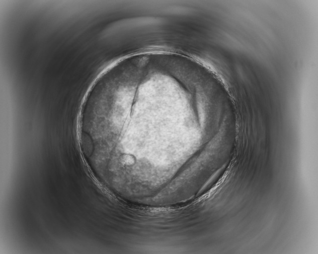 X0000095941421200802081228