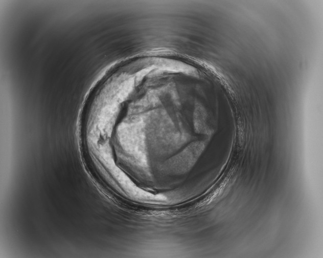 X0000095941422200802081228