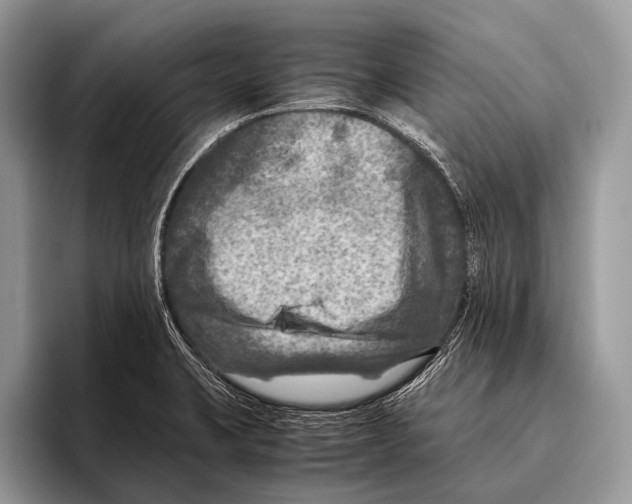 X0000095941423200802081228