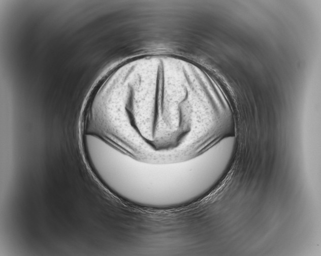 X0000095941424200802081228