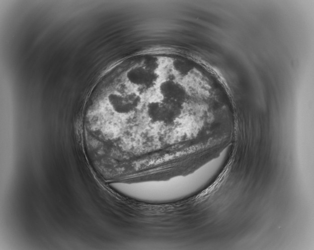 X0000095941425200802081228