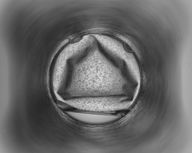 X0000095941426200802081228