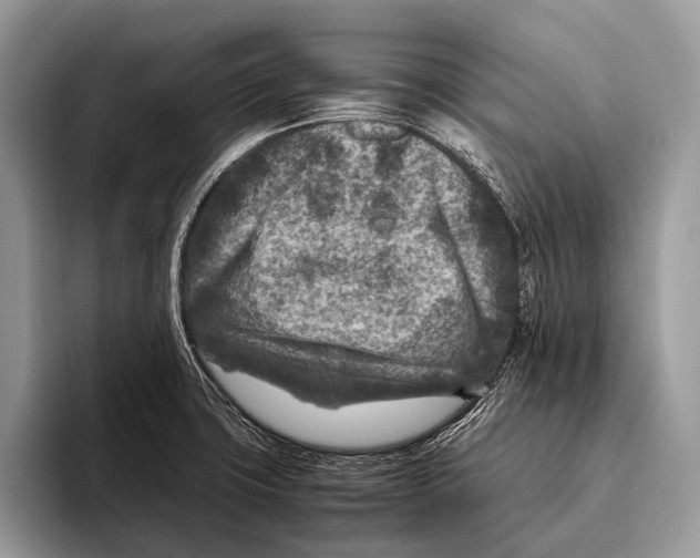 X0000095941427200802081228