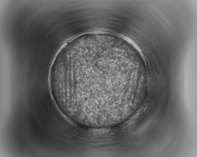 X0000095941429200802081228