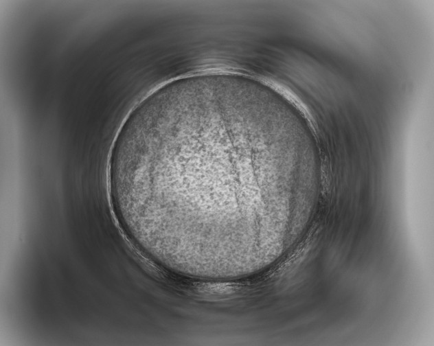 X0000095941431200802081228