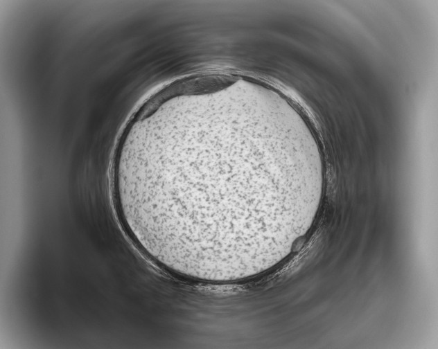 X0000095941432200802081228