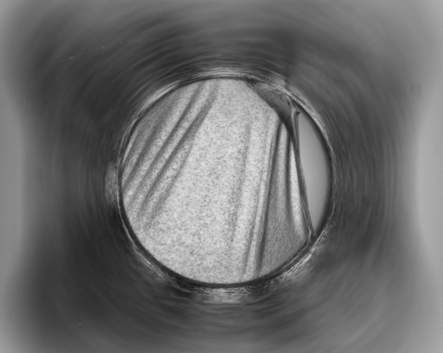 X0000095941433200802081228