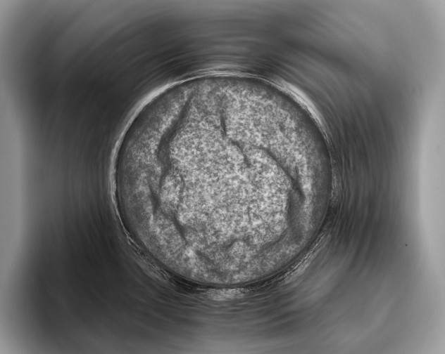 X0000095941435200802081228