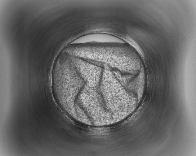 X0000095941436200802081228