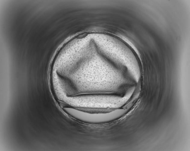 X0000095941437200802081228