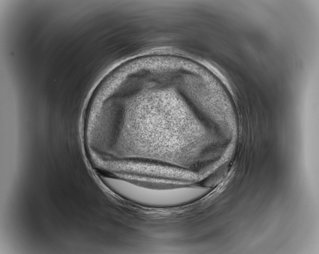 X0000095941438200802081228