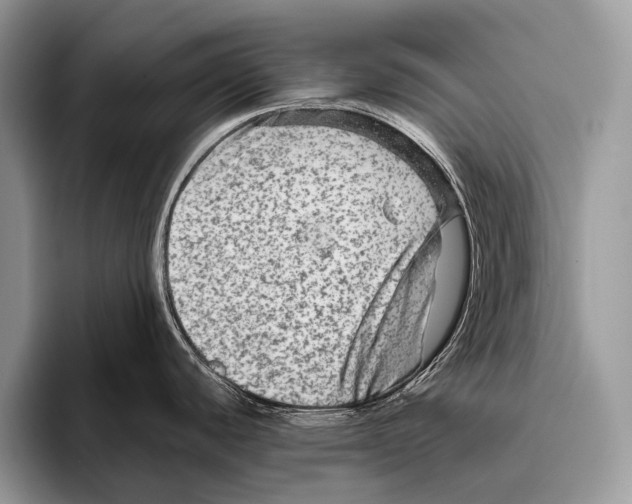 X0000095941440200802081228