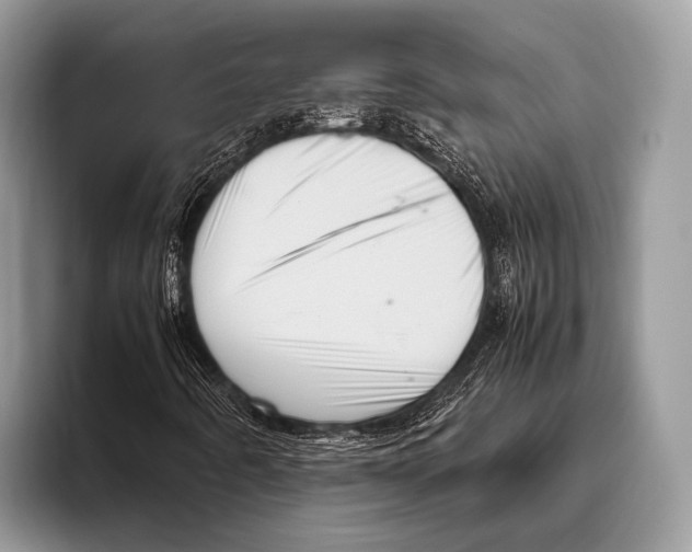 X0000095941442200802081227