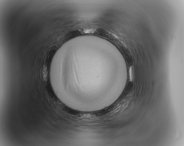 X0000095941443200802081227