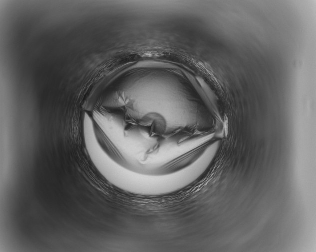 X0000095941444200802081227