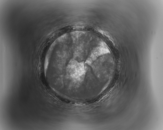 X0000095941445200802081227