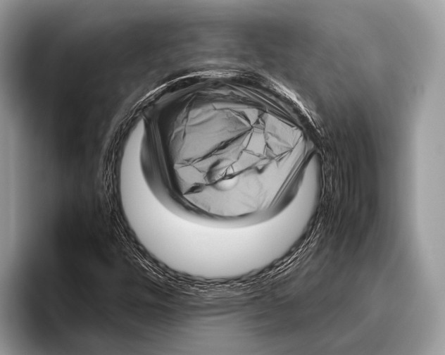 X0000095941448200802081227