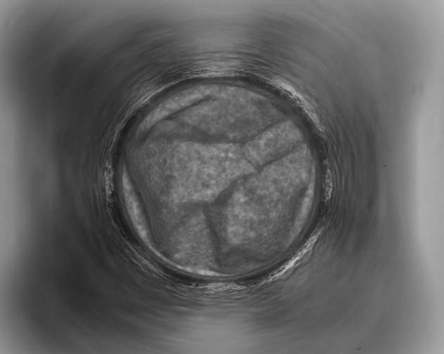 X0000095941449200802081227