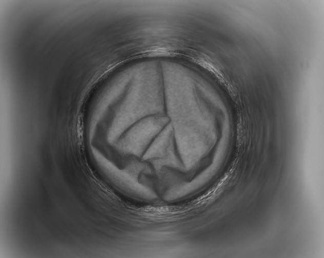 X0000095941450200802081227