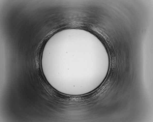 X0000095941451200802081227