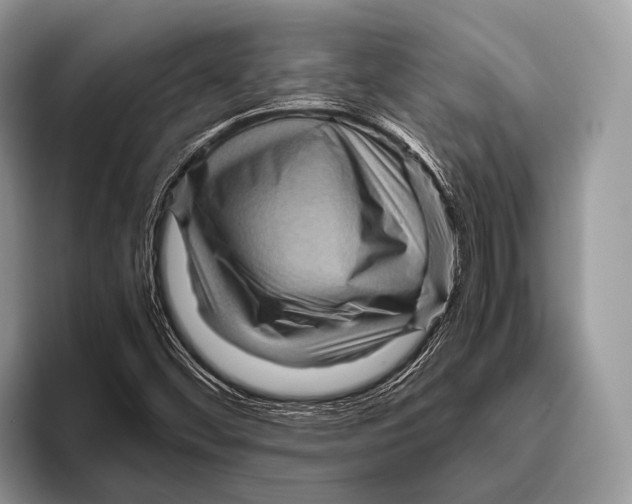 X0000095941452200802081227