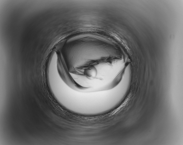 X0000095941453200802081227