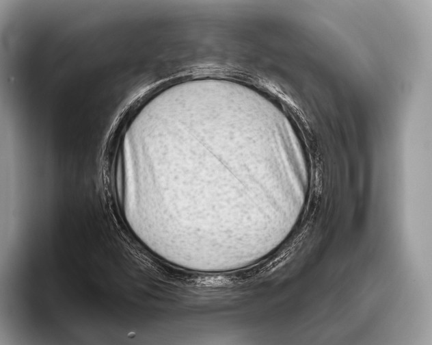 X0000095941454200802081227