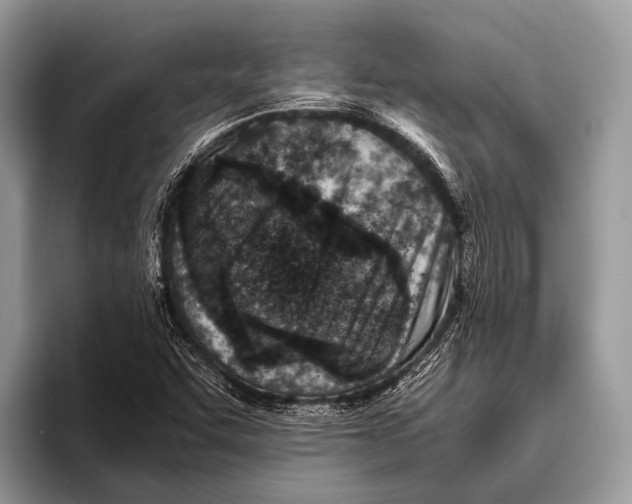 X0000095941455200802081227