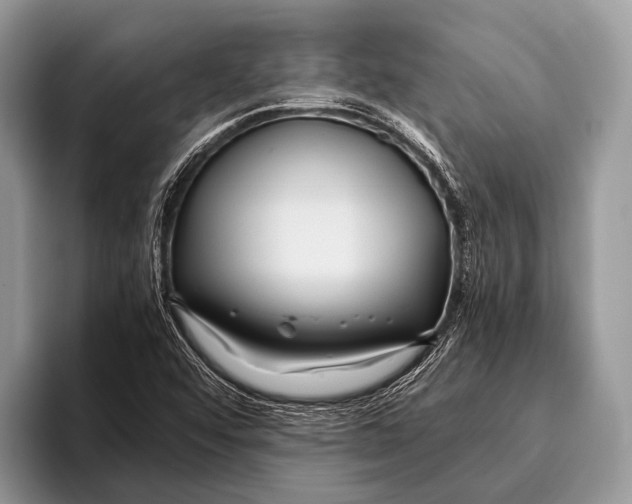 X0000095941456200802081227