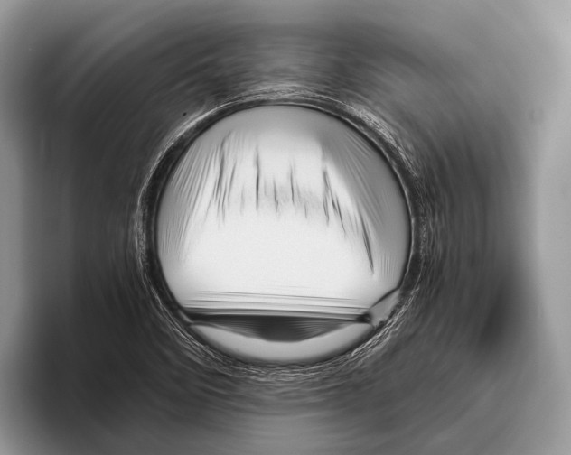 X0000095941458200802081227