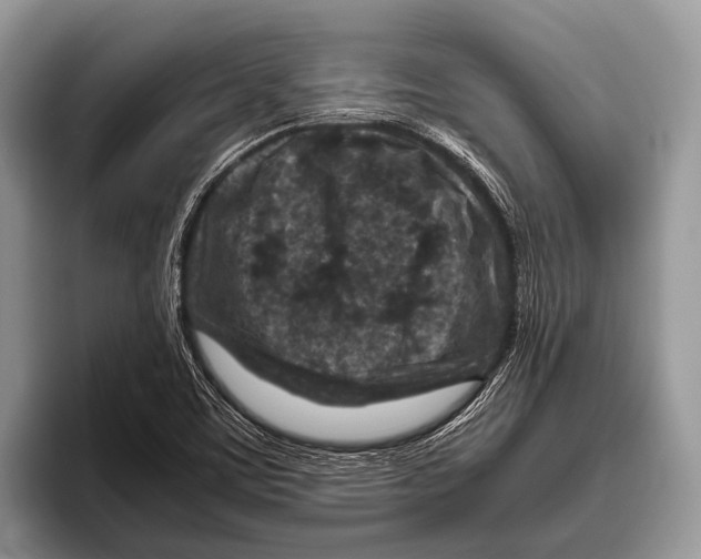 X0000095941459200802081227