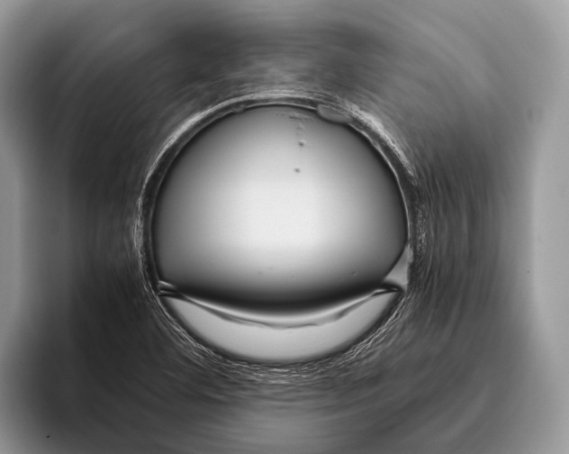 X0000095941460200802081227