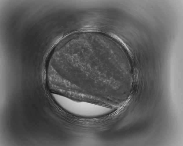 X0000095941461200802081227