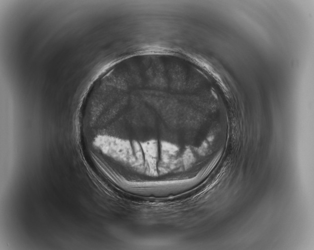 X0000095941463200802081227