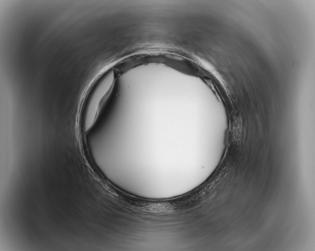 X0000095941464200802081227